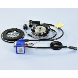 171.0553 ACCENSIONE POLINI...