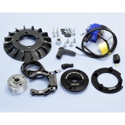 171.0554 ACCENSIONE POLINI...