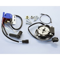 171.0555 ACCENSIONE POLINI...