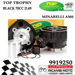 9919250 GRUPPO TERMICO...