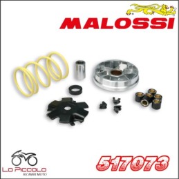 517073 MULTIVAR VARIATORE...