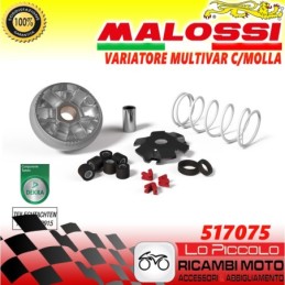 517075 MULTIVAR VARIATORE...