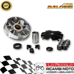 517123 MULTIVAR VARIATORE...