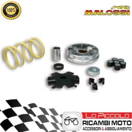 517134 MULTIVAR VARIATORE...