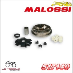 517140 MULTIVAR VARIATORE...