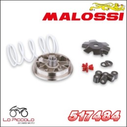 517484 MULTIVAR VARIATORE...