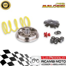 517492 MULTIVAR VARIATORE...