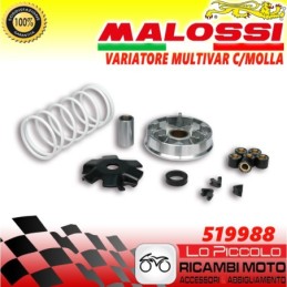 519988 MULTIVAR VARIATORE...